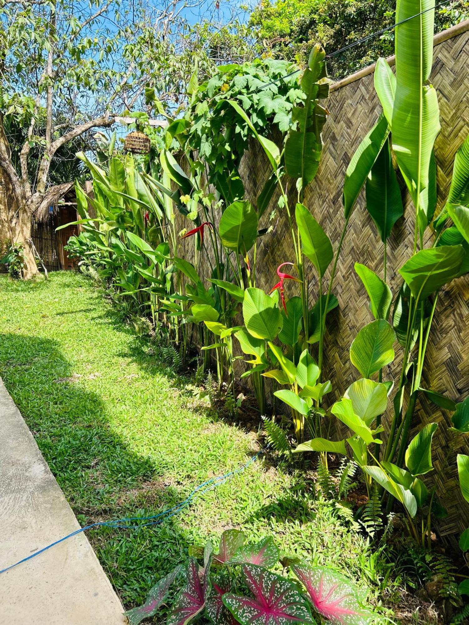 Lolas Villa El Nido Extérieur photo